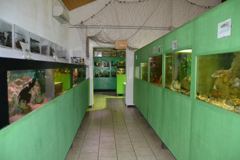 Il Ghirlo - arte,cultura,turismo