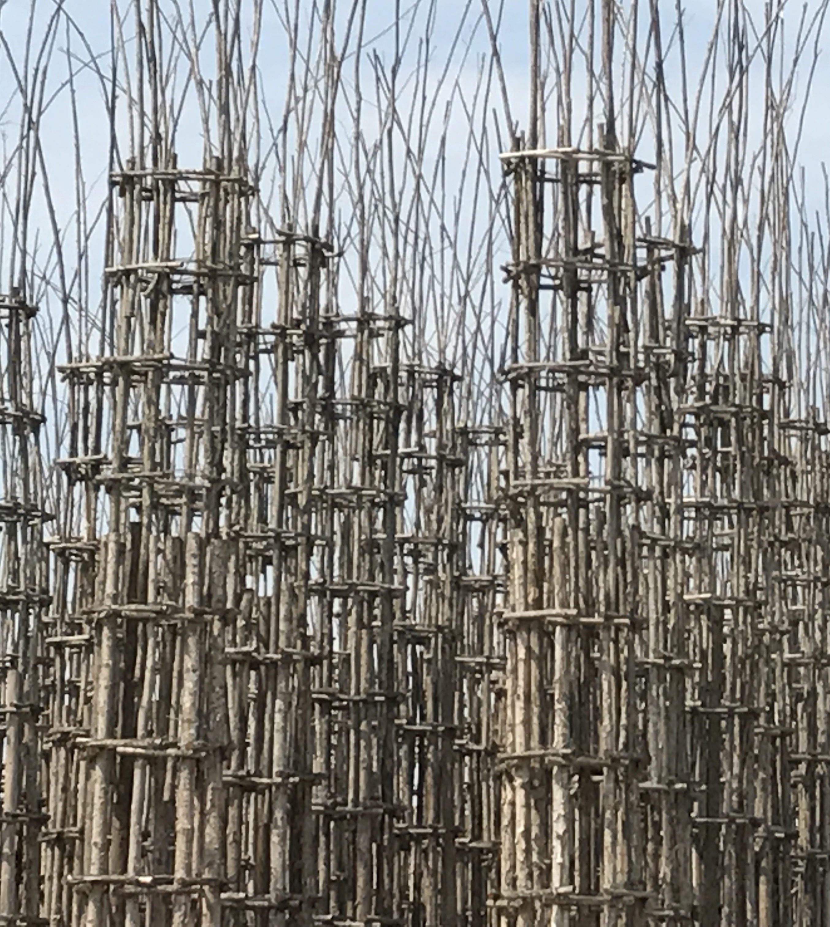 Il Ghirlo - Visite guidate arte, cultura, turismo